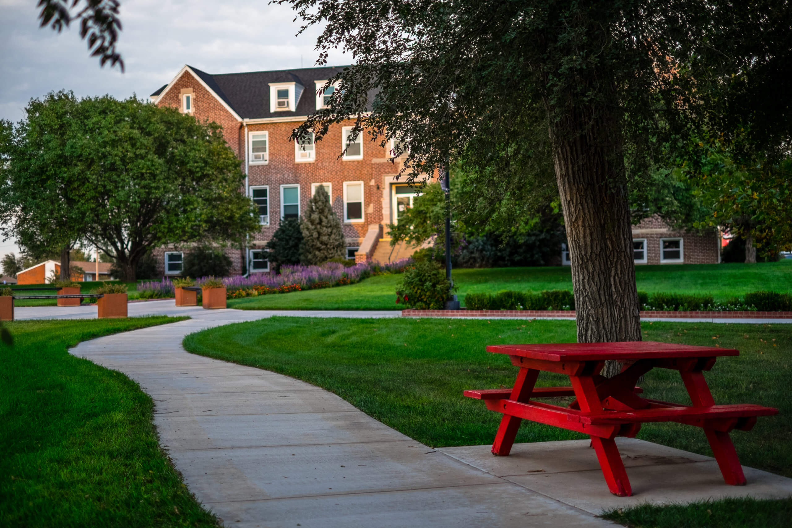 Campus Programs