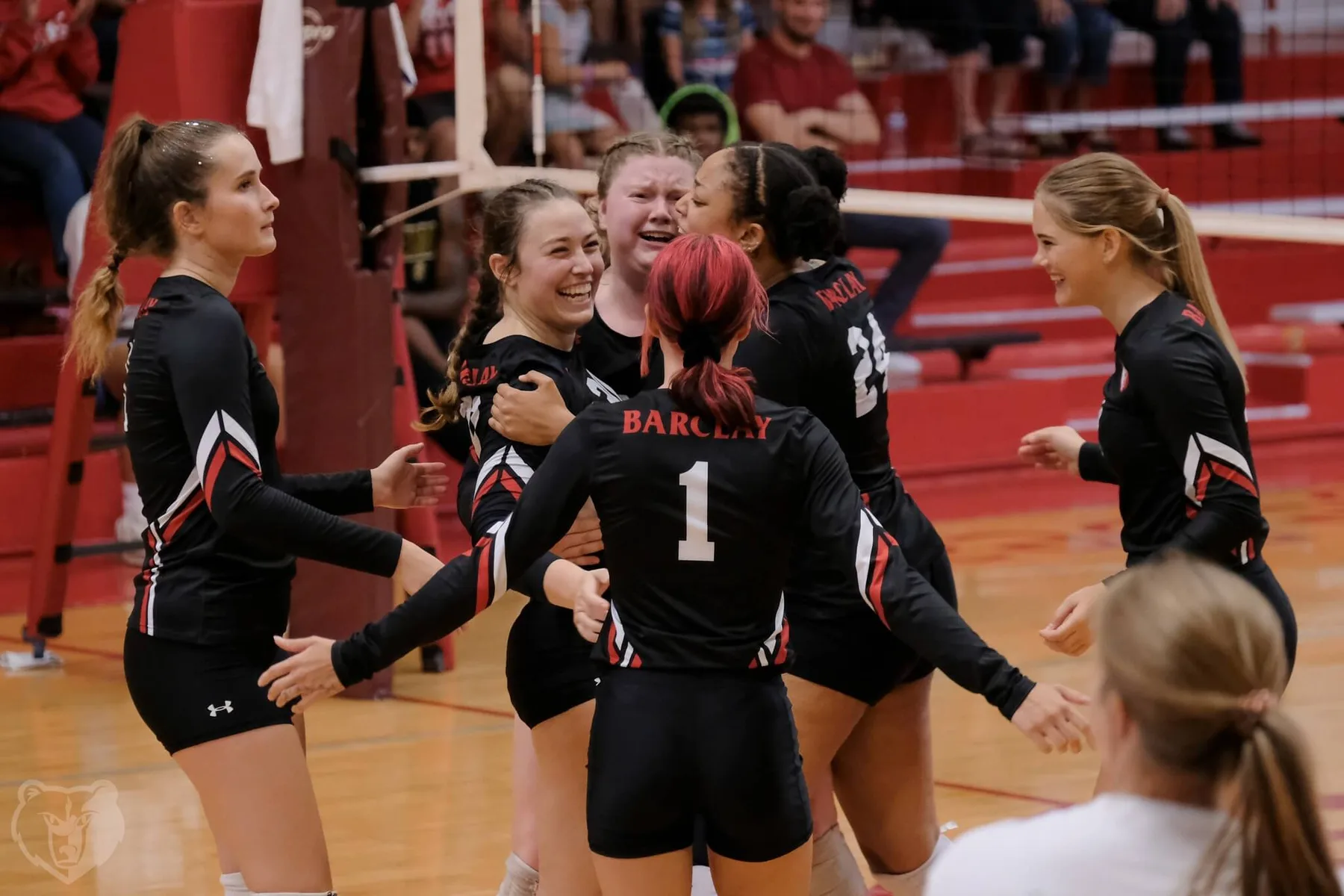 Barclay Bears volleyball