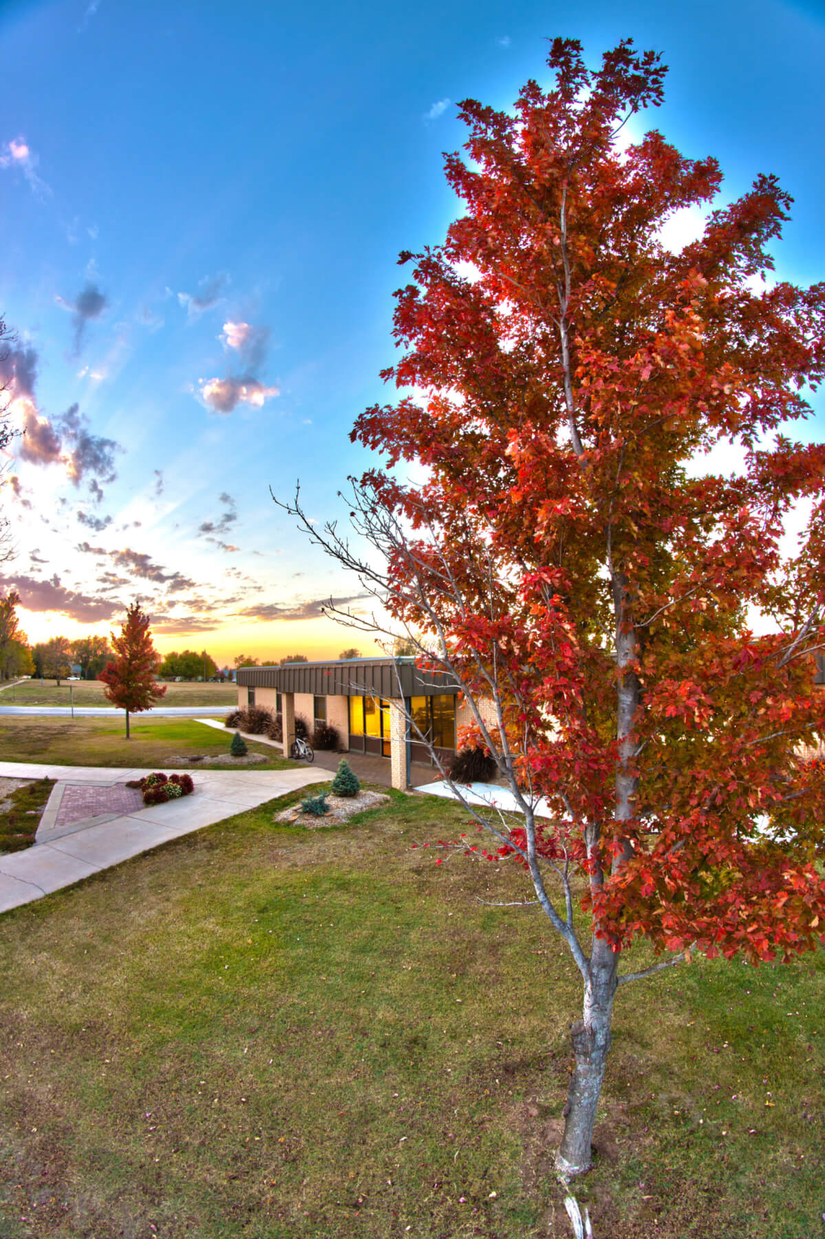 Library Barclay College Christian College Kansas